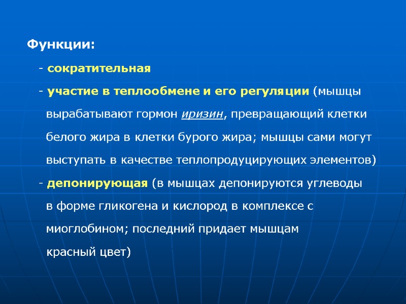 Функции:      - сократительная      -